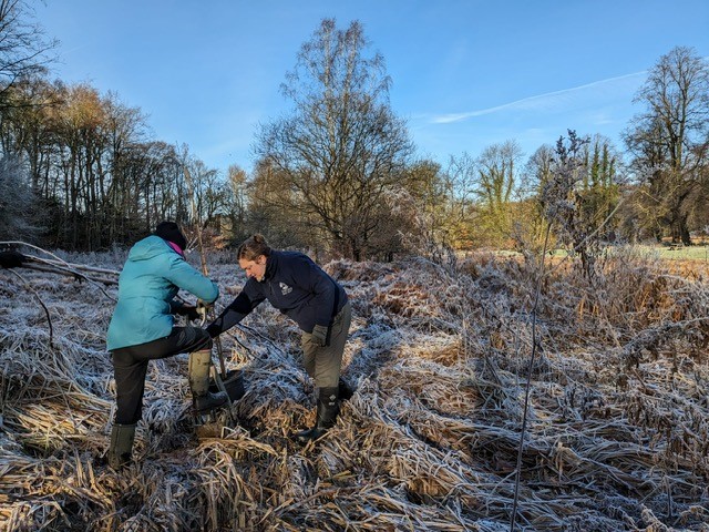 Bulb Planting The Carrs Wilmslow